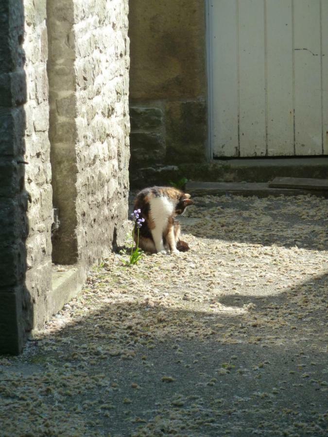 The Old Vicarage B&B Tideswell Luaran gambar